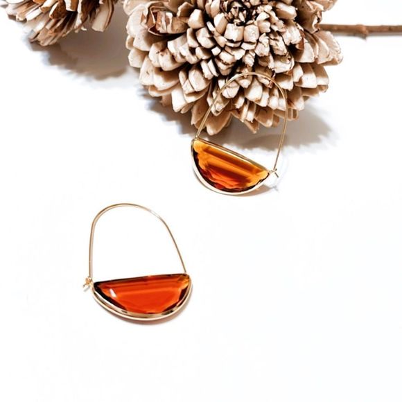 Anthropologie Jewelry - Brown crystal drop earrings M38